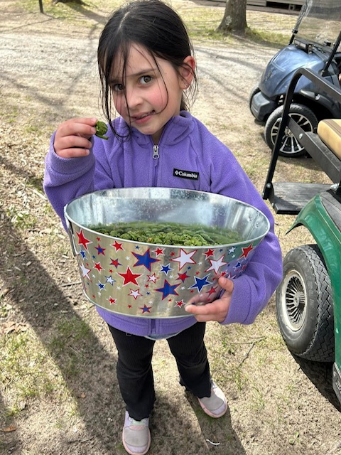 Young girl with a bowl of fiddleheads