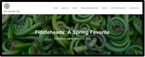 An image of fiddlehead greens