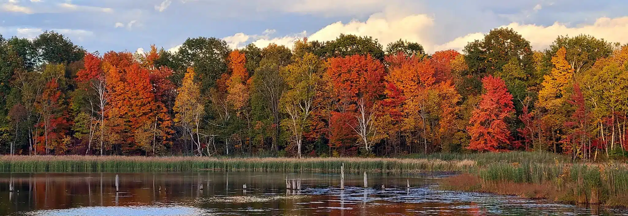 Fall foliage along a quiet waterway.